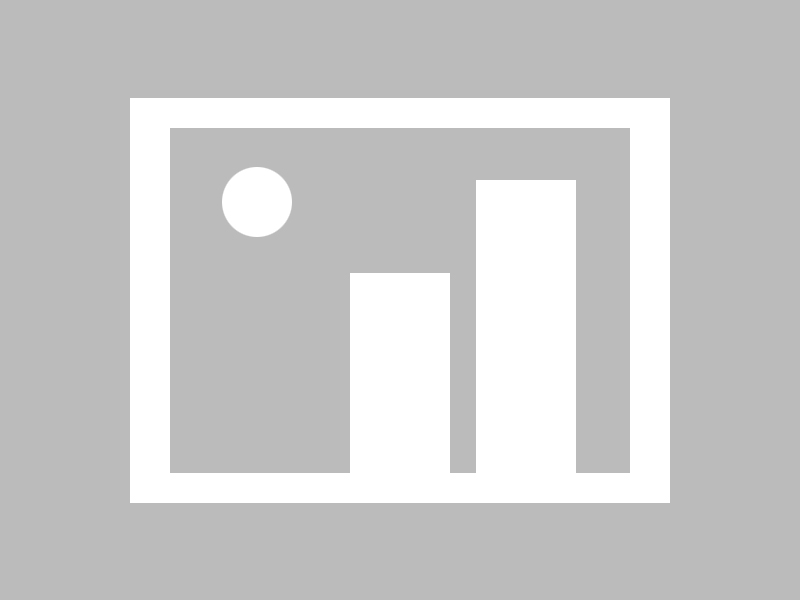 纵横球场：全球篮球精英争夺夺冠宝座，《纵横篮坛》